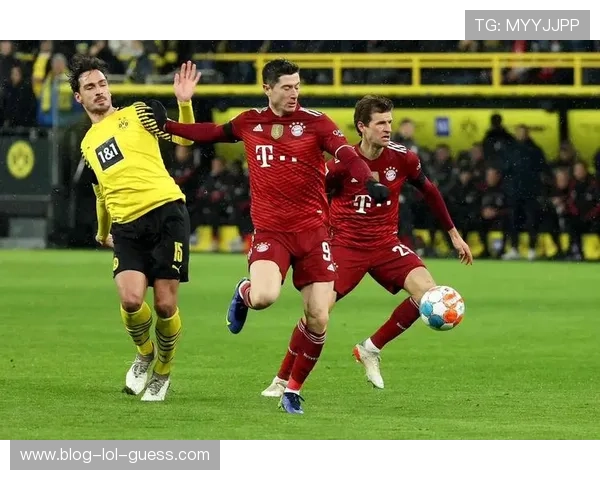 英国足球明星的一天：训练场上的汗水与赛场上的荣耀